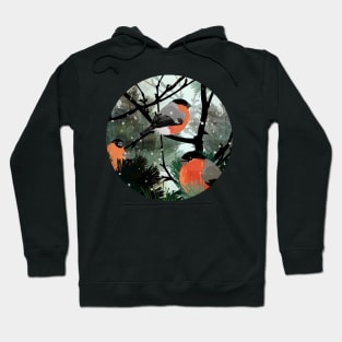 Bullfinches Hoodie